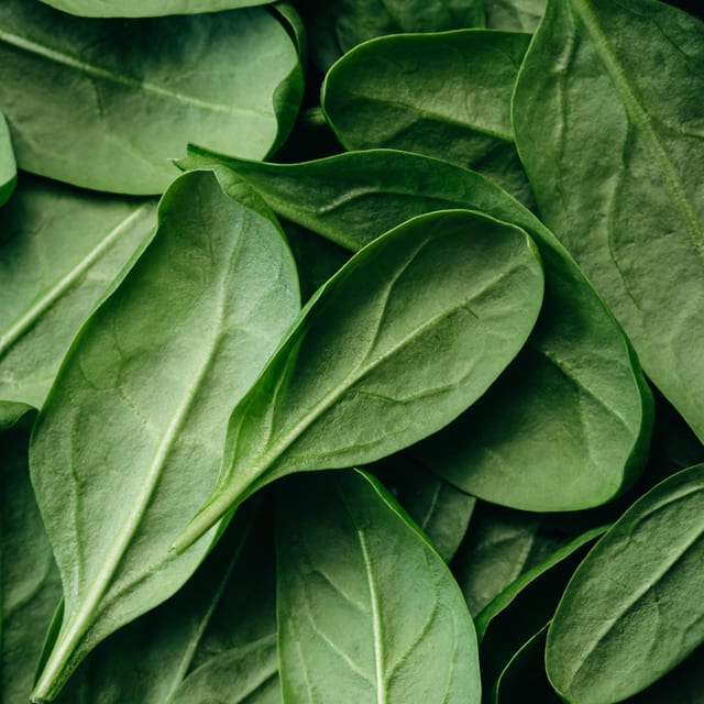 Side of Spinach.